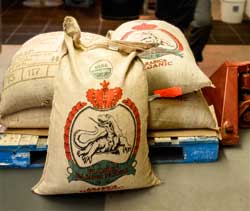 Burlap sacks atop a pallet, one facing